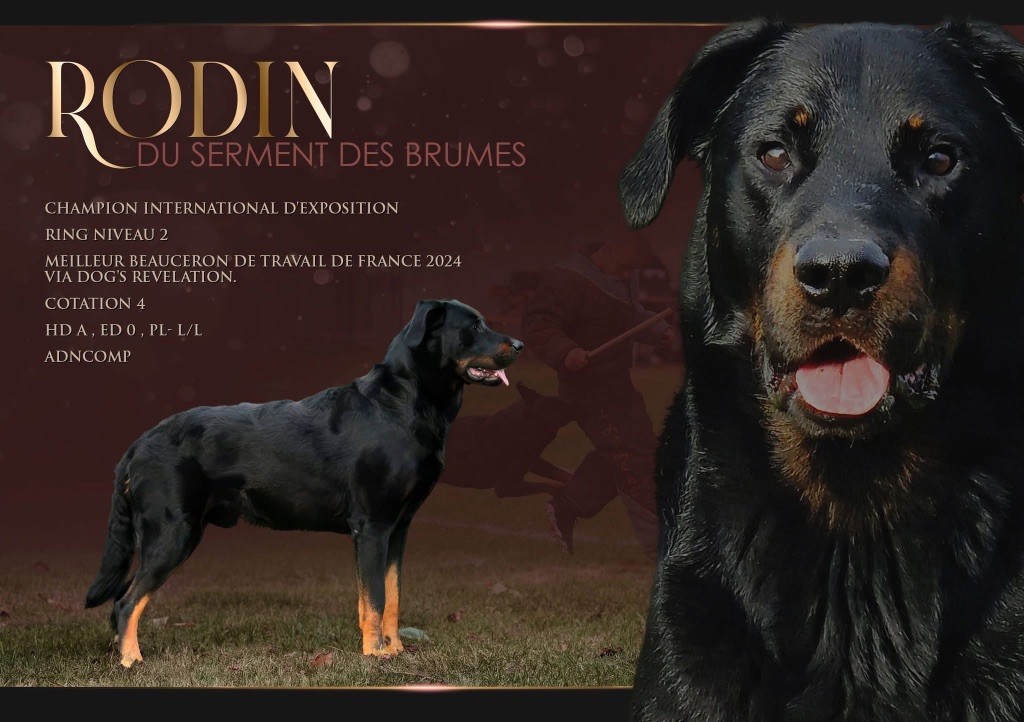CH. Rodin du serment des brumes