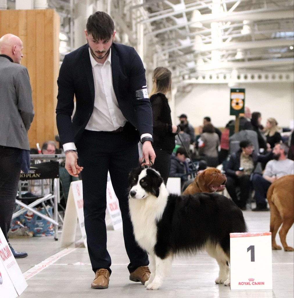 Victory collins cocktail des Terres De Khairyaca